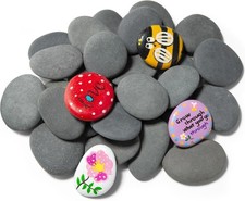 Simetufy 25 Pcs Rocks for Painting, 2