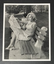 1957 Marilyn Monroe Original Photo Sam Shaw Roxbury Connecticut Reading picture