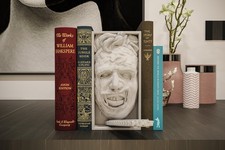 Leatherface Inspired Book Nook/Wall Mount - Texas Chainsaw 3D Printed Decor picture