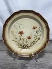 Vintage Mikasa Whole Wheat Jardiniere Dinner Plate 10 3/4 in E8016 picture