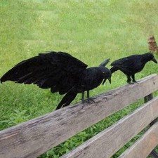 Halloween Realistic Crow Prop Fake Raven Black Feathered Party Garden Home Decor picture