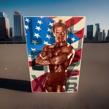 Vtg 1993 WWF Lex Luger Poster Board Sign Part 10-00269 Lex Express Store Display picture