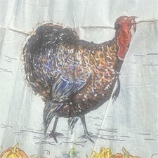 Dennison's Paper Disposable Tablecloth Turkey Thanksgiving/Fall Rectangular picture