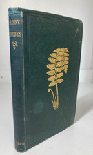 Charlotte Chanter Ferny Combes 1856 1st Ed 8 Color Plates Gilt Fern Cloth picture
