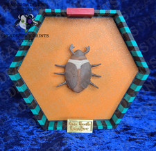 Coraline-Inspired Cocoa Beetle Wall Display (Faux Replica) picture