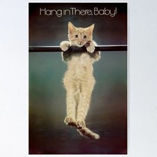Hang In There Cat Motivational Vintage Poster picture