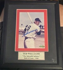 Ted Williams 