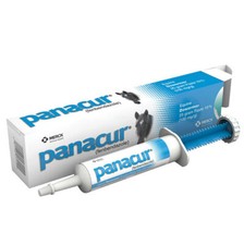Panacur Equine Paste Horse Dewormer 25 grams picture
