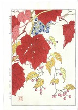 Shodo Kawarazaki Woodblock Print Wild Grapes Kyoto Floral Art Japan Vintage picture
