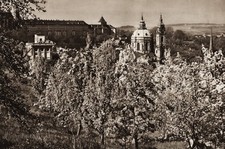 1940s Vintage PRAGUE Petrin Hills Tree Blossoms Landscape PLICKY Photo Art 16X20 picture