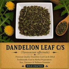 Dandelion Leaf C/S Wild Crafted Taraxacum officinale Premium Herb | USA | Fresh picture