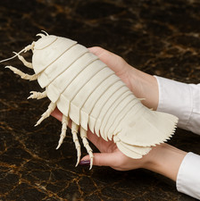 Museum-Quality Bathynomus Giganteus Deep Sea Giant Isopod Replica Sculpture picture