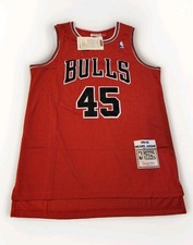 Mitchell & Ness 🔥 Michael Jordan 🔥 #45 Bulls 1994-95 Comeback Jersey Men's LG picture