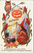 Antique Halloween Postcard Witch Stirring Potion Cauldron Cat JOL Pumpkin Owl picture
