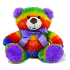 Small Rainbow Teddy Bear Stuffed Animal Plush Toy Girls Gift Easter Toy 12 inch picture