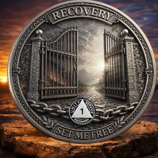 🔥1 Year Recovery Coin AA Sobriety Chip Recovery Medallion Token AA Chip 1 Year picture