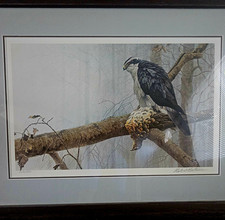 Robert Bateman 1973 Signed Numbered Limited Edition Framed Bird Print picture