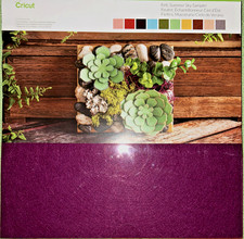 Cricut Papers: Felt picture