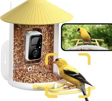 NETVUE by Birdfy Smart Bird Feeder with Camera Bird Watching Camera Auto Capture picture