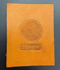 c1910 L20 Syracuse University College Seal Tobacco Leather Antique Orange picture