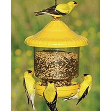 CLINGERS ONLY BIRD FEEDER -YELLOW- Songbird Essentials EASY FILL & CLEAN SE7011 picture
