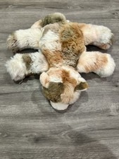 Lil Pet Hospital 12