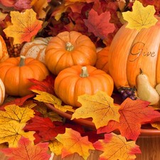 300pcs Artificial Fall Maple Leaves 7 Colors with 100 Glue Dots Autumn Decor picture
