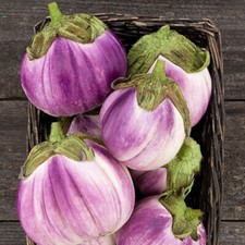 50 ROSA BIANCA EGGPLANT SEEDS FRESH FOR YOUR VEGETABLE GARDEN. picture