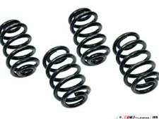 Neuspeed SofSport Spring Kit 55.10.64 VW B5 Passat 1999-2000.5 picture