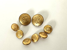 Chaps Ralph Lauren Gold Horse  Replacement Button Set of 8  Waterbury picture