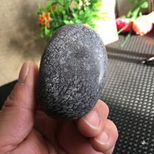 97g Awesome Dinosaur Bone  Crystal  Hand Played Specimen from Madagascar B1781 picture