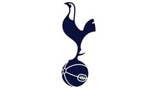 Tottenham Hotspurs 5” Die Cut Vinyl Decal, Bumper Sticker Window spurs picture