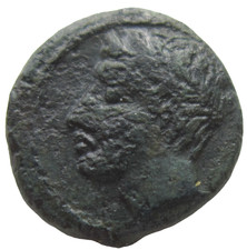 SICILY, PANORMOS. AE 14. CIRCA 336-330 BC. APOLLO/FOREPART OF HORSE AND DOLPHIN. picture