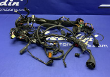 Triumph Main Wiring Harness (No Horn Connector) Street Triple 2023-2025 T2506090 picture