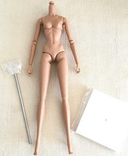 BODY FROM SAKURA SEASON NADJA WCLUB REGISTRATION NU FACE INTEGRITY TOYS DOLL picture