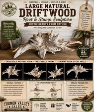 Large Natural Driftwood Root Stump Sculpture Rustic Coastal Aquarium Decor 22” picture