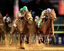 Blame / Zenyatta 2010 BC Classic Photo 8