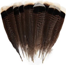 24Pcs Natural Wild Turkey Tails Feathers Quill Bulk 6-8Inch 15-20Cm for DIY Craf picture