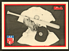 1995 Fritsch AAGPBL Card #231 picture