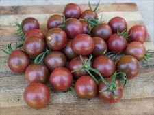 30 BLACK CHERRY TOMATO SEEDS ~ 2026 ~ NON-GMO ~ heirloomseedguy picture