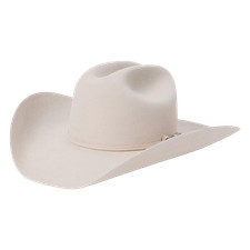 Stetson Skyline 6X USA 250 Edition Silverbelly Felt Western Hat SFS250-754261 picture