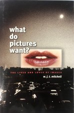 What Do Pictures Want?: The Lives and Loves of Images picture