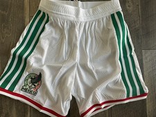 Mexico 2026/27 - Player Version Slim Fit - L picture