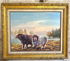 Sophie Dare Original Art 17x22  Acrylic on Canvas Sheep in Golden Light Framed picture