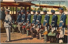 c1940s HOLLYWOOD, Florida Postcard GREYHOUND RACING Dog Track / Linen picture