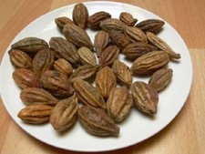 HARITAKI WHOLE, Terminalia chebula, Indian Herbs Whole, Natural 250 gm/g picture