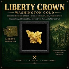 Liberty Washington Gold Nugget | 0.115g Crystalline Gold Specimen | Liberty M.D. picture