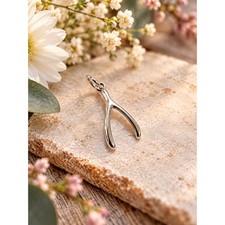 RETIRED James Avery Wishbone Sterling Silver Charm picture