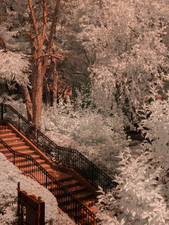 Converted Infrared Camera Nikon D70s  Full Spectrum picture