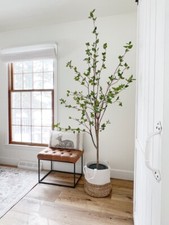 6.5’ Artificial Citrus Minimalist Tree Home Decor. Retail $248 picture